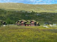 Cabin By Main Ski Trail At Norefjell - B&B Eggedal
