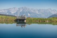 AlpenNest Kirchberg -Ruhige Lage in den Alpen - Ferienwohnung Kirchberg in Tirol