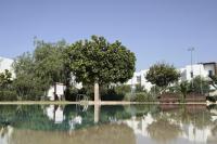 Taghazout Bay Escape - piscine et plage à 200m - Ferienwohnung Taghazout