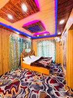 Dal frozen - B&B Srinagar