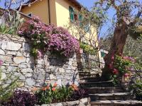 L'Alcova tra gli ulivi - B&B Zoagli