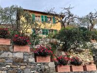 L'Alcova tra gli ulivi - B&B Zoagli