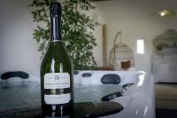 Harmonia house with Jacuzzi and private sauna - B&B Cintegabelle