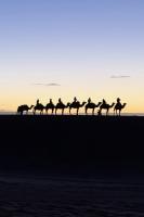 Merzouga luxe camp - B&B Merzouga