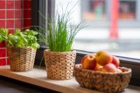 Klimaneutrales Ferienhaus am idyllischen Ammersee - Chambres d’hôtes Dießen am Ammersee