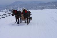Suite met 2 Slaapkamers