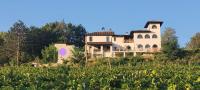 La- Bellavista B&B - Chambres d'hôtes Santo Stefano Belbo