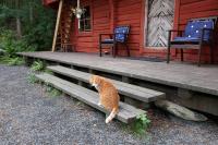 Getaway in the wilderness - B&B Hämeenlinna