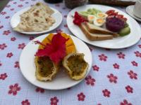 Carpe Diem Nungwi - Bed and Breakfast Nungwi