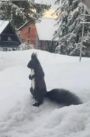 La Familia - Chambres d’hôtes Jahorina