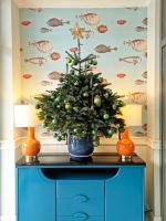 Bielik Apartament B12 - B&B Międzyzdroje