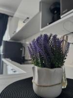 Nubia sea view 2 - B&B Costineşti