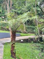 Kaffa Suítes - Ferienwohnung Campos do Jordão
