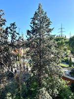 Nel cuore etrusco dell'Umbria - Ferienwohnung Perugia