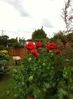 Habitación Triple con vistas al jardín