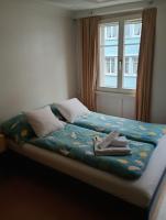 Central tiny studio - B&B St. Gallen
