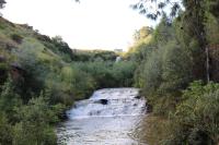 Highland Gate Golf & Trout Estate, House 910 - B&B Dullstroom