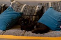 Private and cosy room in a shared apartment - B&B Agadir