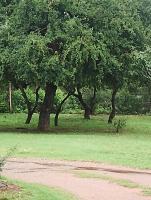 Chambre Double - Vue sur Jardin