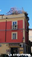 casaNARDIELLO - Bed and Breakfast Capua
