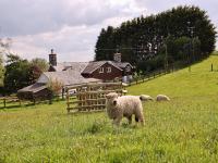 Bryn Y Garreg Cottage - The Wireless Free Farm - Bed and Breakfast Llangadfan