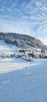 Ferienwohnung Bergzauber im Ferienpark Oberallgäu- Pool- Sauna- Bikepark- Skilift- Loipe- Wanderwege- stilvoll und kinderfreundlich - B&B Missen-Wilhams