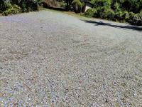 Garden of Eden Cottages and Guest House - B&B Mbabane