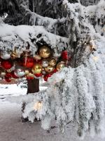 Cozy city centre apartment - B&B Telšiai