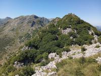 Gibaja Apartmento con Jardin - B&B Gibaja