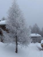 Chalet Tilly - B&B Bettmeralp