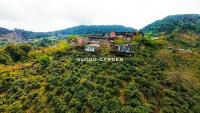 Cloud Garden - B&B Bắc Yên