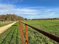 Modern Suite with a Queen Bed, Ensuite & Workspace - B&B Chelmsford