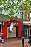 NYC Style Downtown Duplex - Ferienwohnung Kapstadt