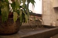 Apartment - Disability Access