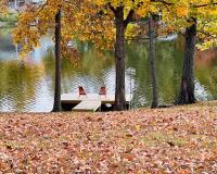 Ozran Cottage - a mid-century Lakefront getaway - B&B Terre Haute