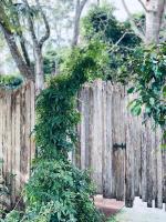 Romantic Couples Retreat - B&B Tamborine Mountain