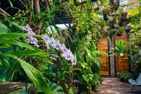 Kasa Nikte - B&B Tulum