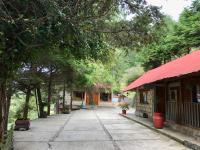 Cabañas 5 Pinos - Chambres d’hôtes Pinal de Amoles