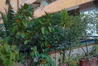 YOUR comfortable and luxury home in Florence - B&B Firenze