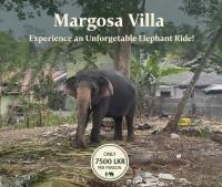 Margosa villa - Chambres d’hôtes Tangalle