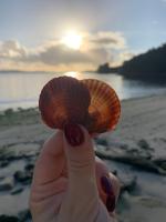 Apartamento Estela - B&B Combarro