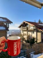 Sunny 100 sqm family apartment with alpine views - B&B Miesbach