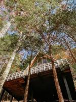 Hillside Haven Treehouse Cabin - Bed and Breakfast Rockbridge