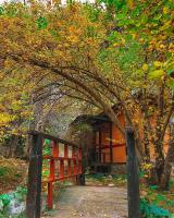 Pine Park Mountain Cottages Mountain Retreat near Almaty - Chambres d'hôtes Almaty