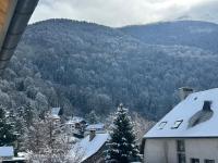 T5 DUPLEX NEUF 5 DIAMANTS PLEIN CENTRE VILLE 10 personnes - Chambres d'hôtes Saint-Lary-Soulan