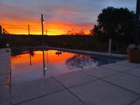 Los Bichos - B&B Estancia Vieja