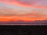 water lily heaven - B&B Tangalle