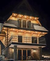 WILLA "Topory Prestige House sauna & jacuzzi" Dom dla 12 osób w Zakopanem - Chambres d'hôtes Zakopane