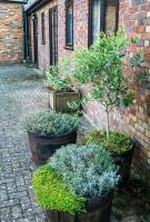 Sheep Shed Rural Farm Cottage in Stelling Minnis Canterbury - Area of Outstanding Natural Beauty - Chambres d'hôtes Stelling
