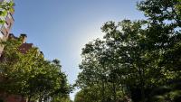 Alamansa 110, Apartamento A - Ferienwohnung Madrid